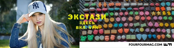 стаф Дмитров