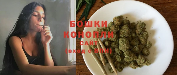 стаф Дмитров