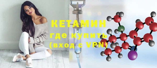 apvp Дмитриев
