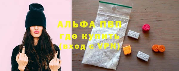 стаф Дмитров