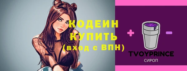 стаф Дмитров