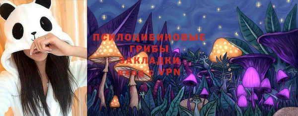 apvp Дмитриев