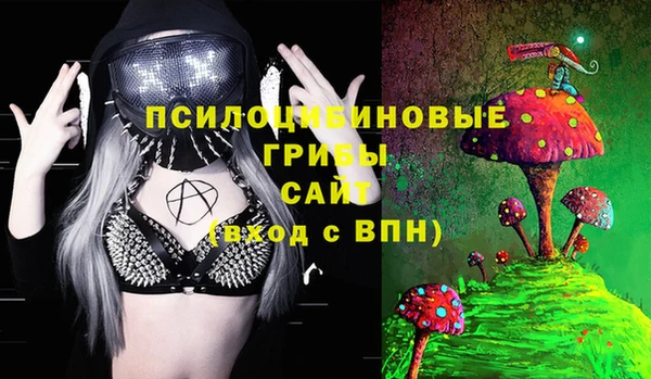 стаф Дмитров