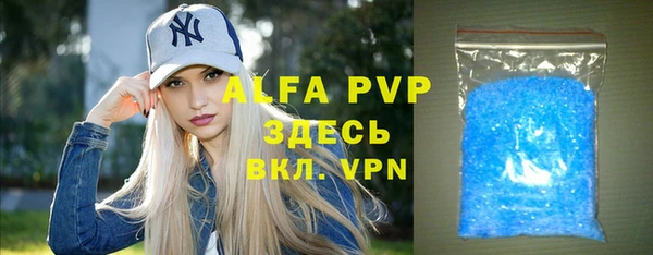 стаф Дмитров