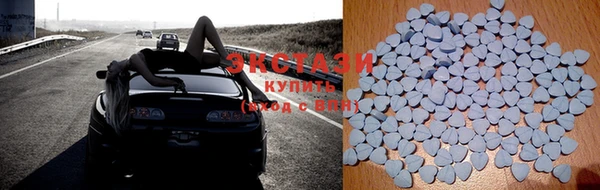 стаф Дмитров