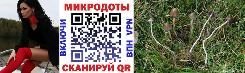 Галлюциногенные грибы мицелий  Осинники 