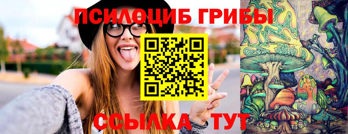 Псилоцибиновые грибы MAGIC MUSHROOMS  Вход с VPN  Осинники 