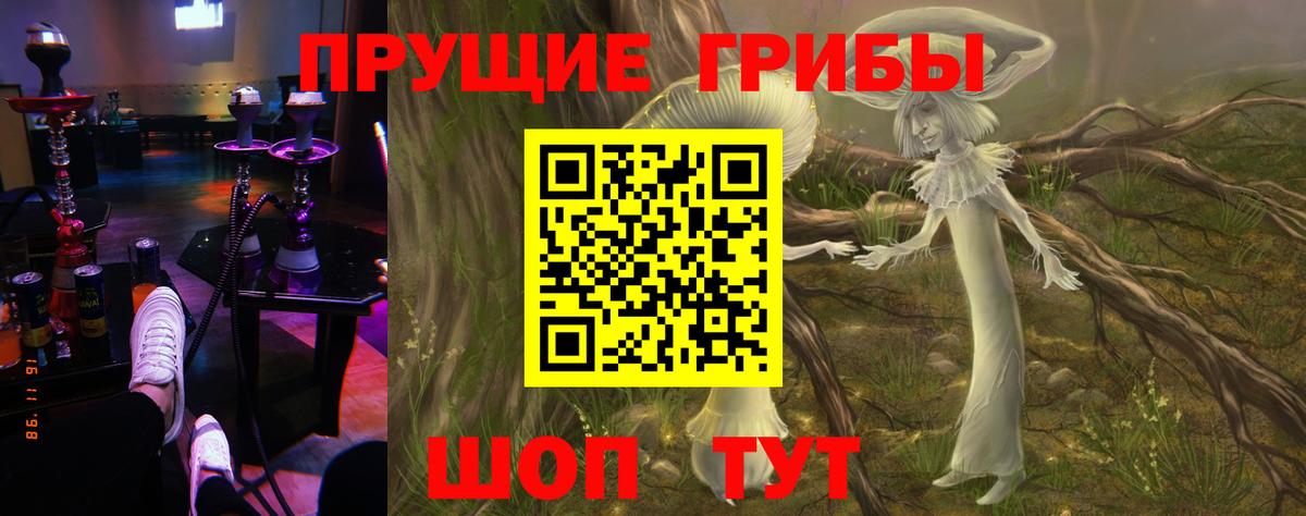 COCAIN  Каннабис  Меф МЯУ МЯУ   LSD-25  Осинники  Вход с VPN  Амфетамин кристаллы  ГАШИШ 